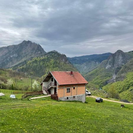 Family Owned Self Sufficient Eco Farm Tara Hotel ปิเลฟเลีย ภายนอก รูปภาพ