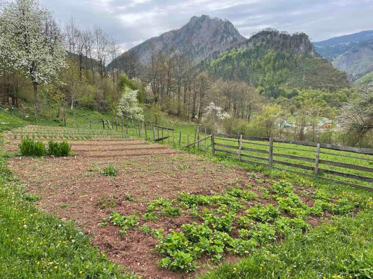 Family Owned Self Sufficient Eco Farm Tara Hotel ปิเลฟเลีย ภายนอก รูปภาพ