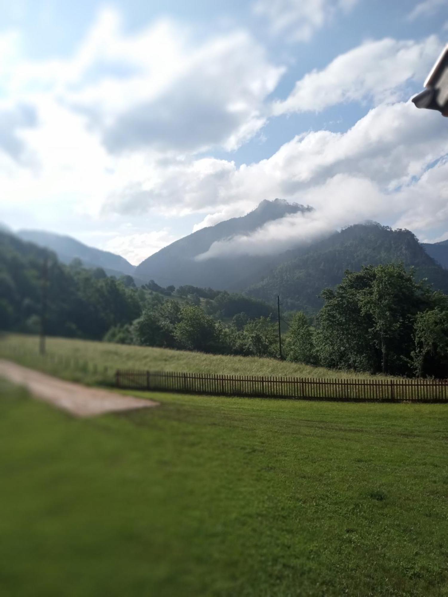 Family Owned Self Sufficient Eco Farm Tara Hotel ปิเลฟเลีย ภายนอก รูปภาพ