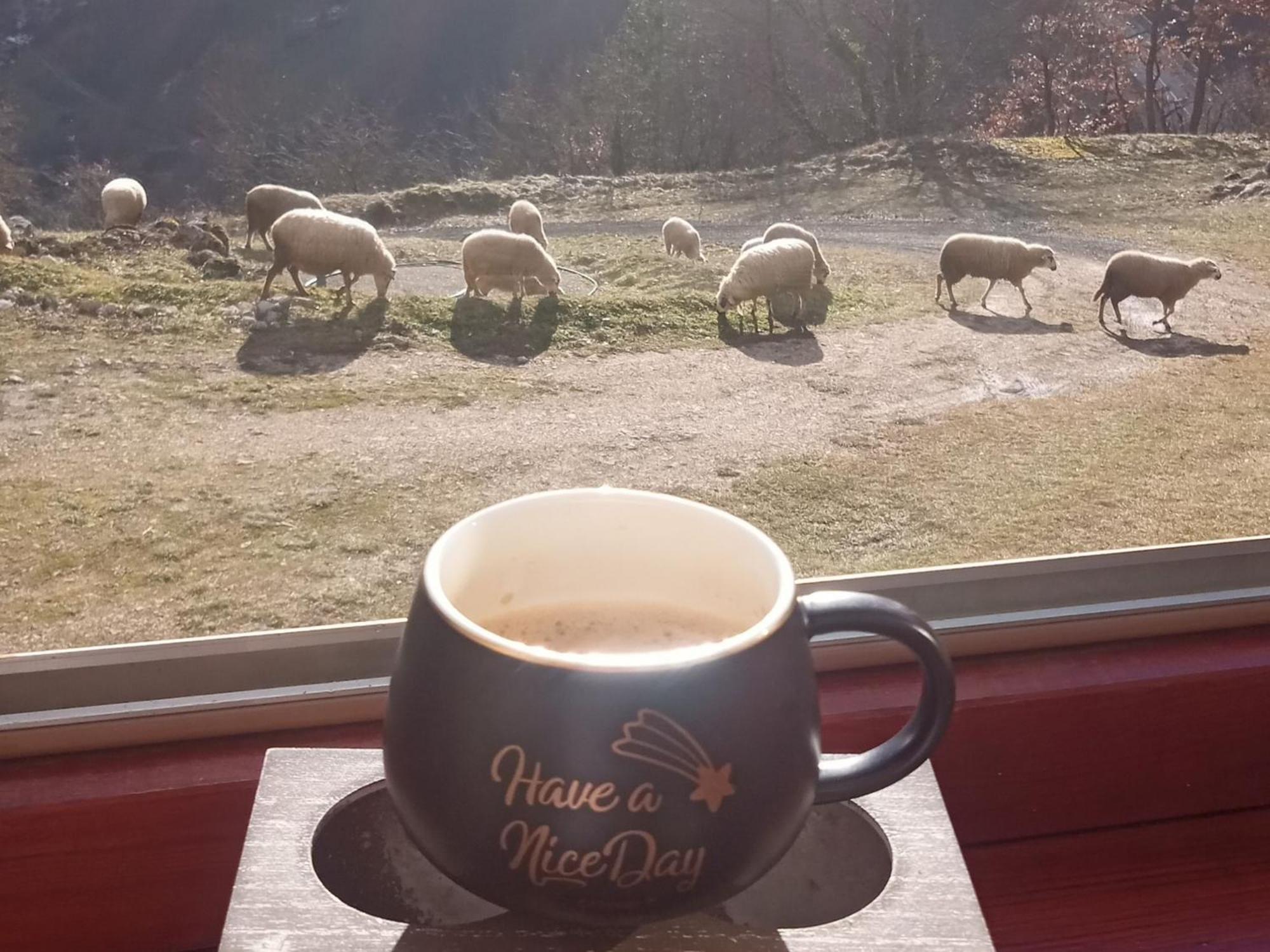 Family Owned Self Sufficient Eco Farm Tara Hotel ปิเลฟเลีย ภายนอก รูปภาพ